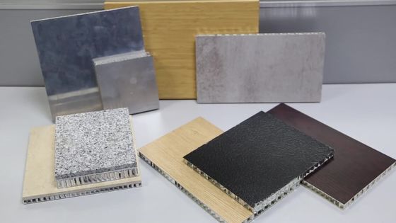 In reliëf gemaakt de Honingraatcomité van het Oppervlaktealuminium